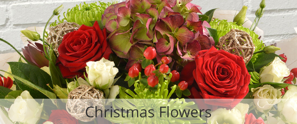 Christmas flowers in East Preston