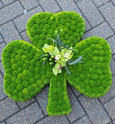 Shamrock Tribute