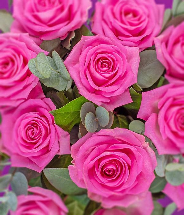 12 Pink Roses