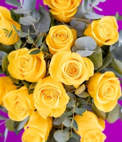 12 Yellow Roses